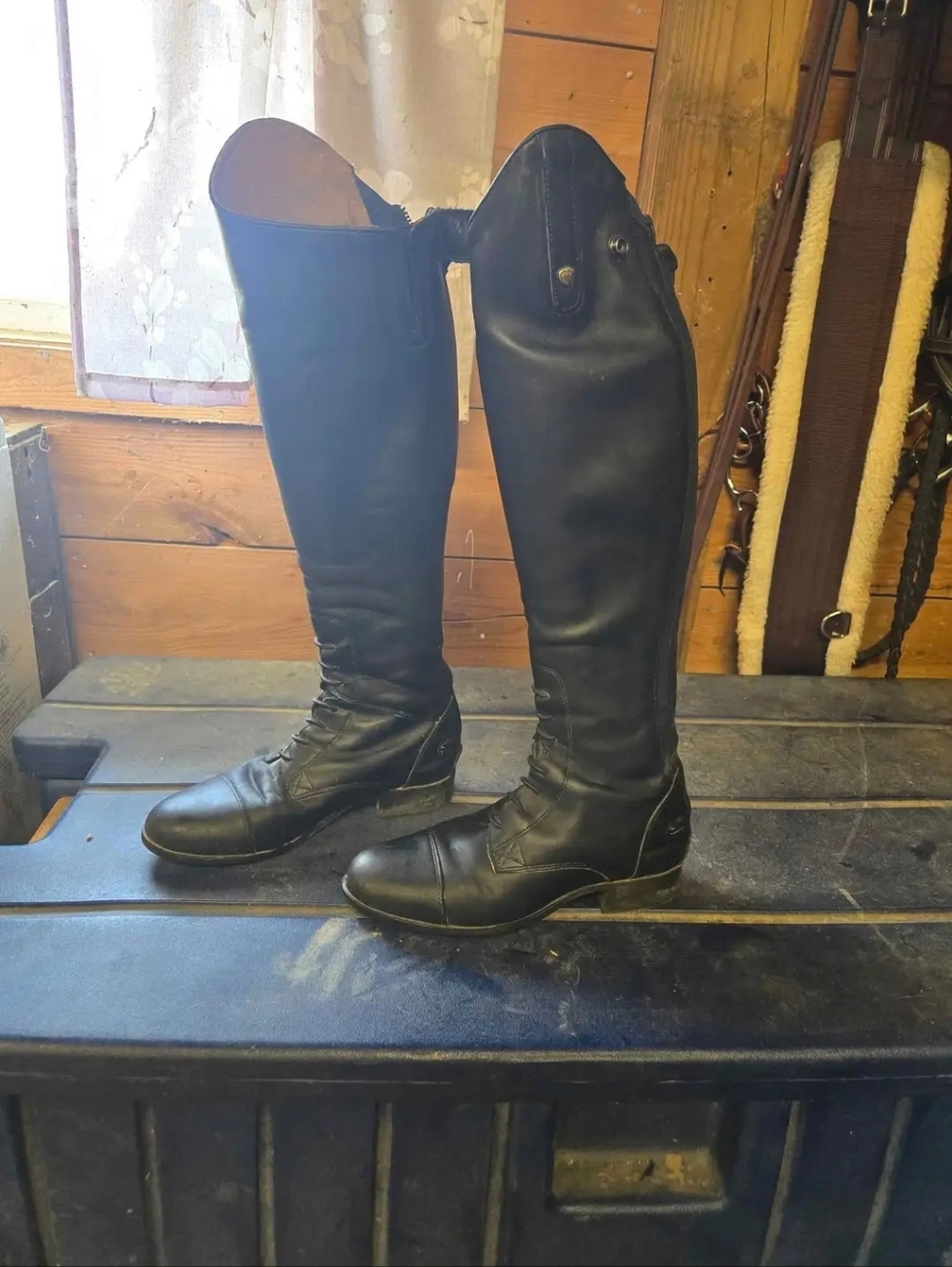 Ariat Tall Boots